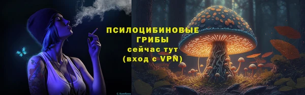 ГАЛЛЮЦИНОГЕННЫЕ ГРИБЫ Арсеньев