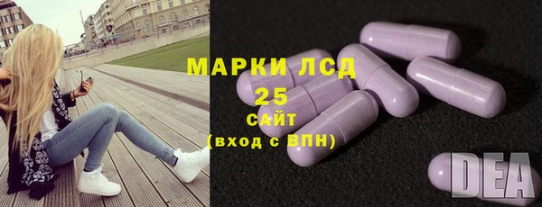 ГАЛЛЮЦИНОГЕННЫЕ ГРИБЫ Арсеньев